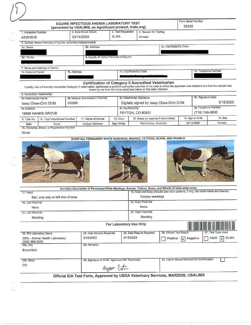 Image for Auction of 7 Horses!