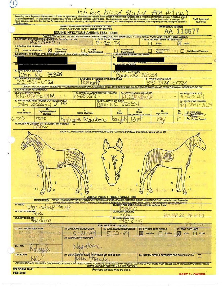 Image for Auction of 7 Horses!