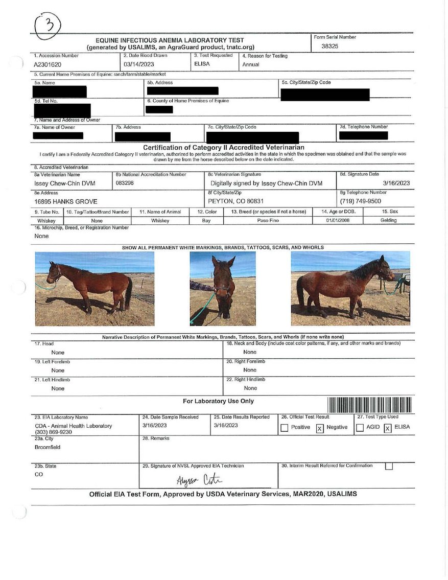 Image for Auction of 7 Horses!