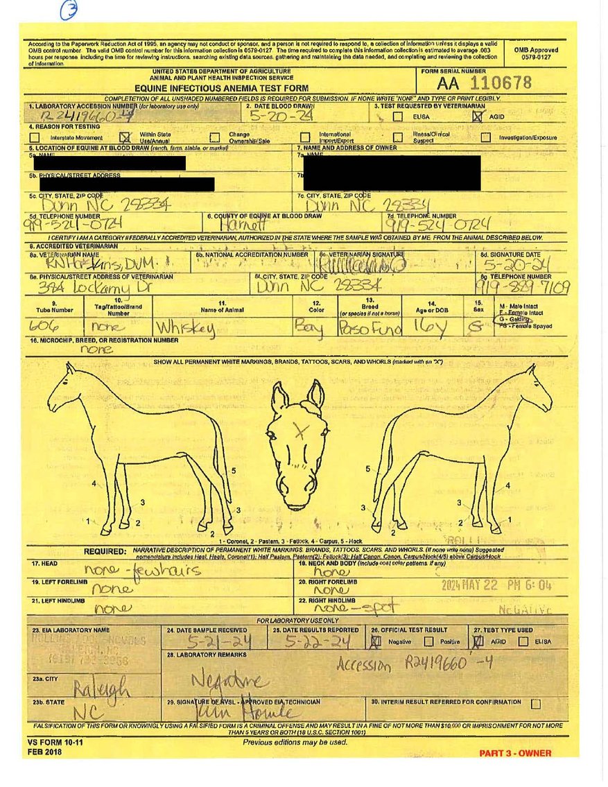 Image for Auction of 7 Horses!