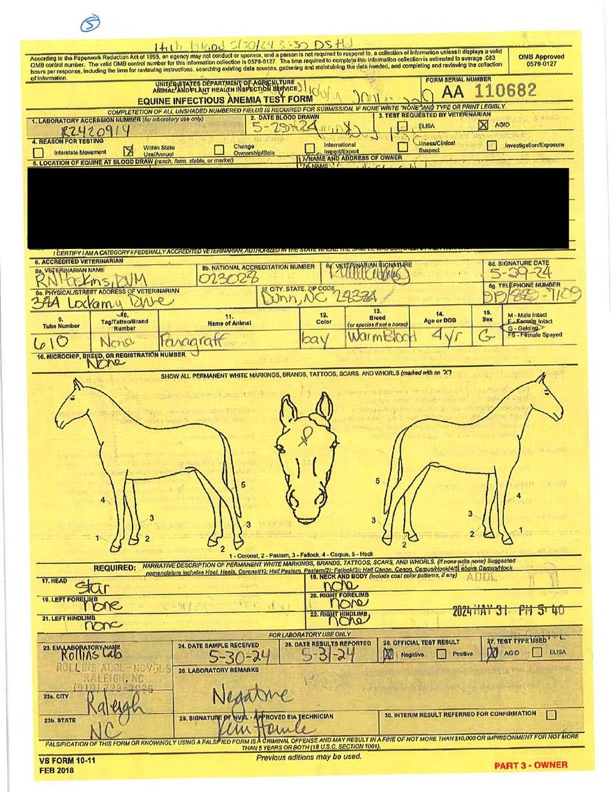 Image for Auction of 7 Horses!