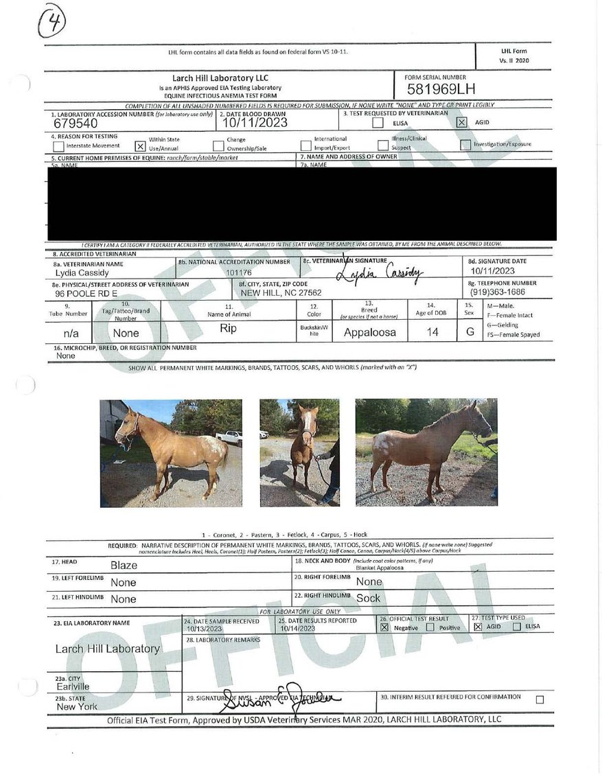 Image for Auction of 7 Horses!