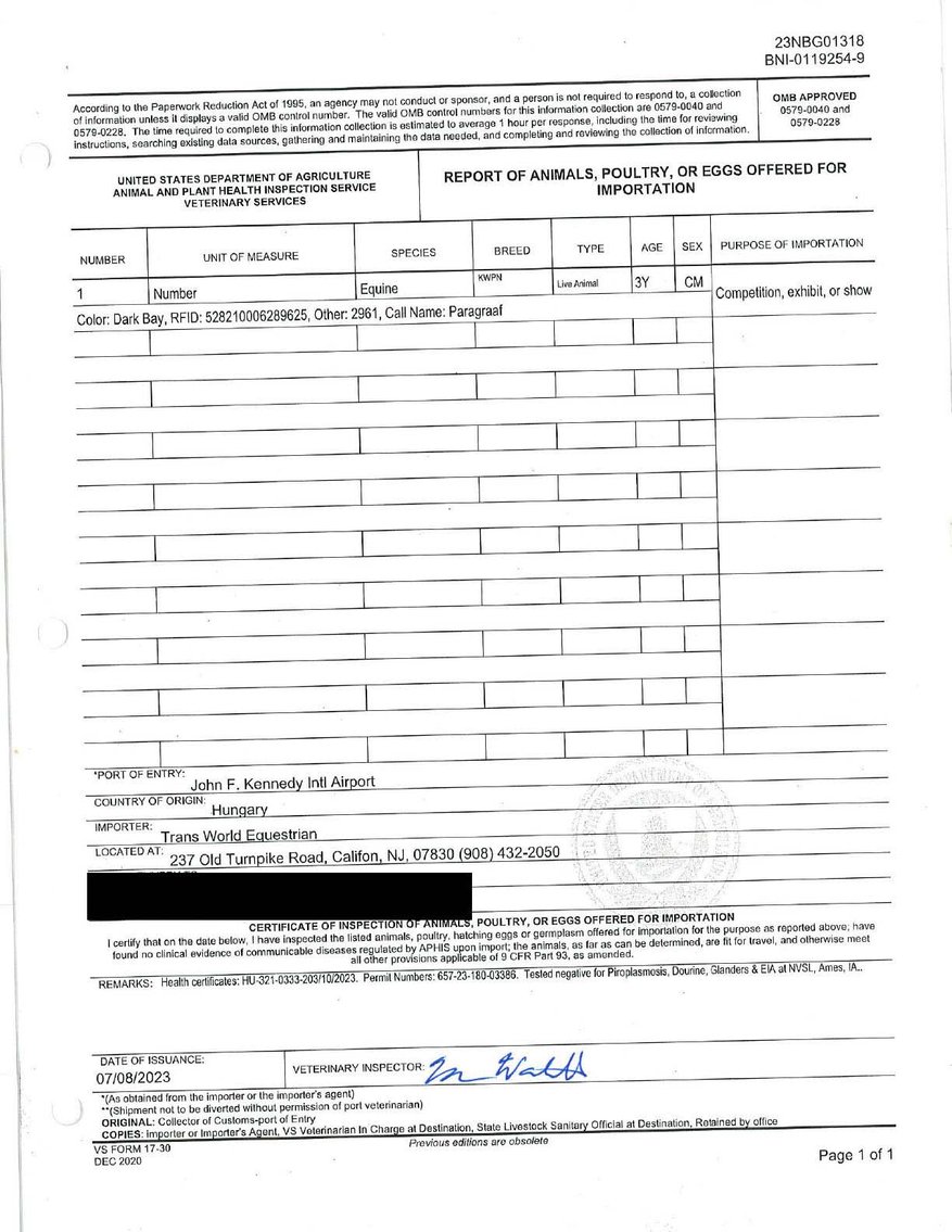 Image for Auction of 7 Horses!