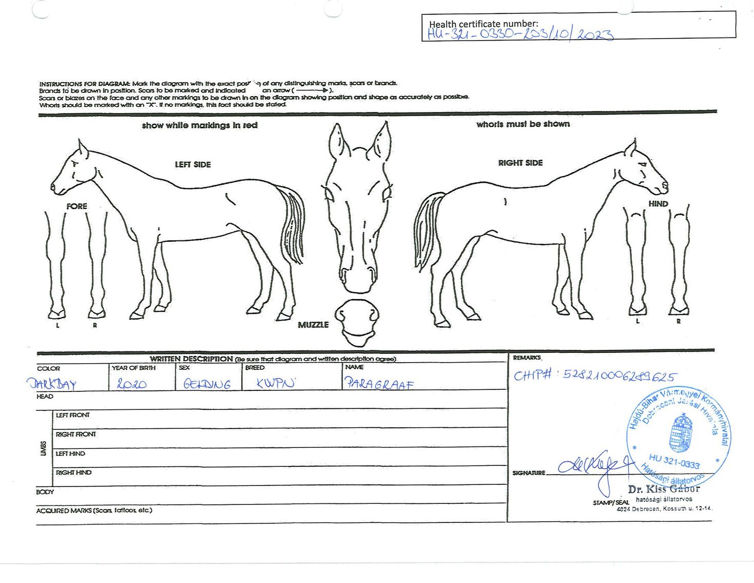 Image for Auction of 7 Horses!