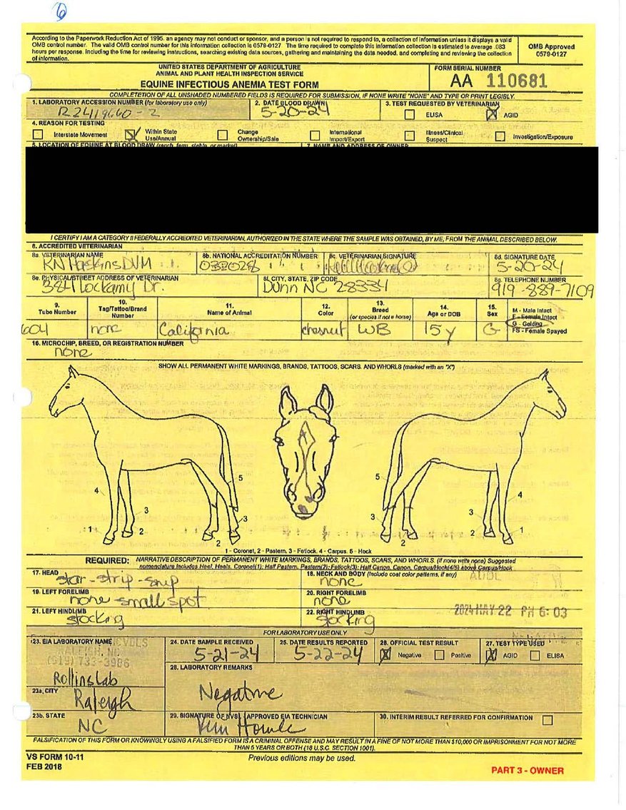 Image for Auction of 7 Horses!