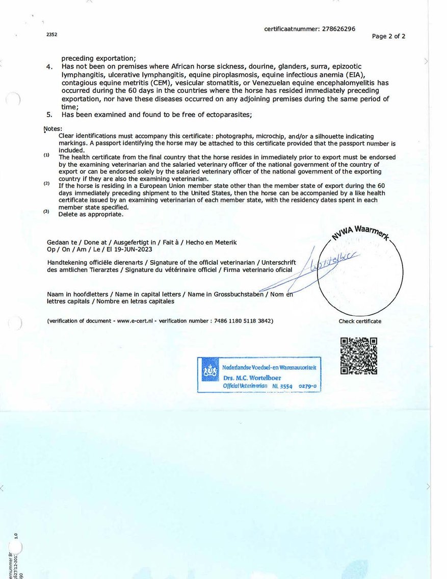 Image for Auction of 7 Horses!