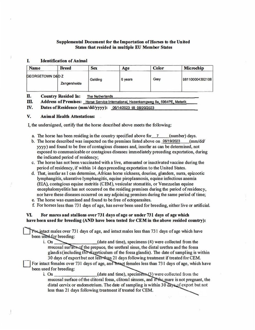 Image for Auction of 7 Horses!