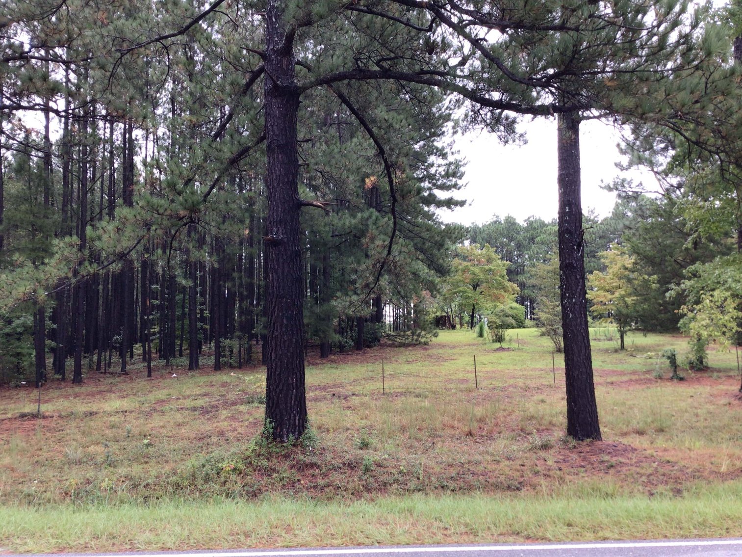 Image for 46+ Acres Divided into 9 tracts, a Super Home with over 2 acres in Harnett County, NC!  Online / Live / Simulcast Auction Held at the JP Headquarters in Angier!
