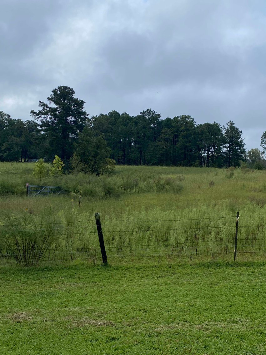 Image for 46+ Acres Divided into 9 tracts, a Super Home with over 2 acres in Harnett County, NC!  Online / Live / Simulcast Auction Held at the JP Headquarters in Angier!