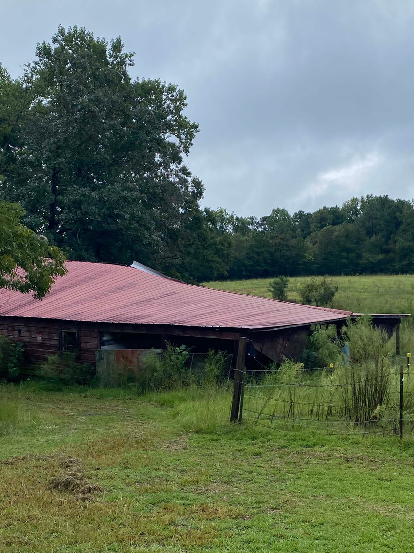 Image for 46+ Acres Divided into 9 tracts, a Super Home with over 2 acres in Harnett County, NC!  Online / Live / Simulcast Auction Held at the JP Headquarters in Angier!