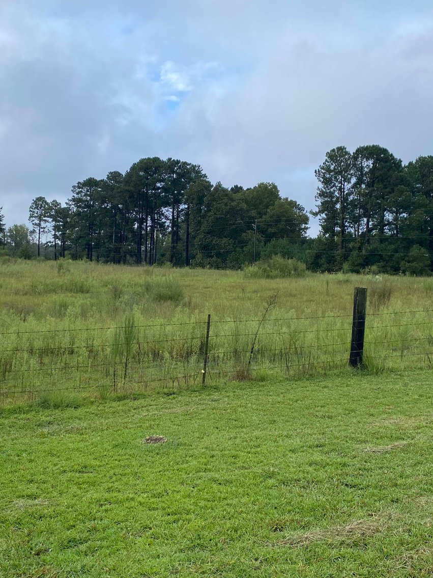 Image for 46+ Acres Divided into 9 tracts, a Super Home with over 2 acres in Harnett County, NC!  Online / Live / Simulcast Auction Held at the JP Headquarters in Angier!