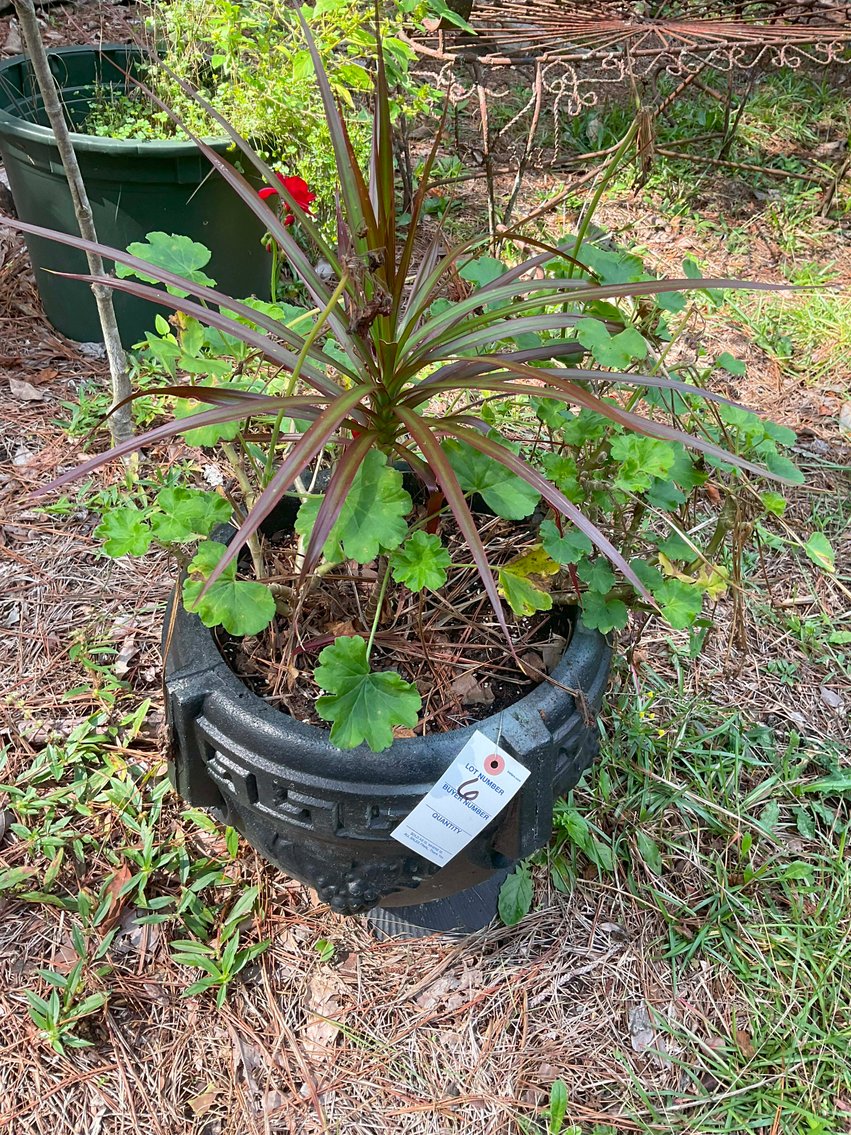 Image for Lots of Furniture, Outside Chairs, and more from a Local Wedding Venue selling at Absolute Auction in this Online Only Event