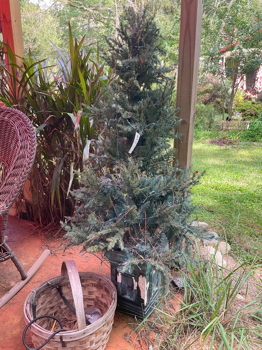 Image for Lots of Furniture, Outside Chairs, and more from a Local Wedding Venue selling at Absolute Auction in this Online Only Event