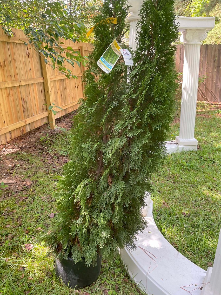 Image for Lots of Furniture, Outside Chairs, and more from a Local Wedding Venue selling at Absolute Auction in this Online Only Event