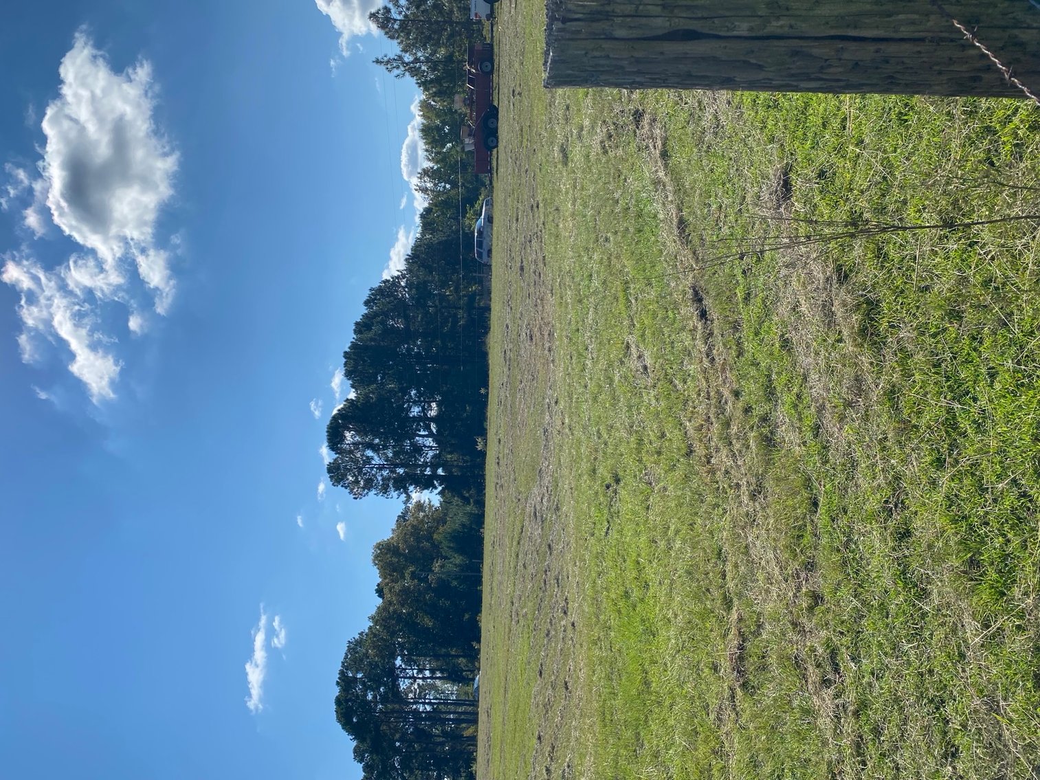 Image for 46+ Acres Divided into 9 tracts, a Super Home with over 2 acres in Harnett County, NC!  Online / Live / Simulcast Auction Held at the JP Headquarters in Angier!