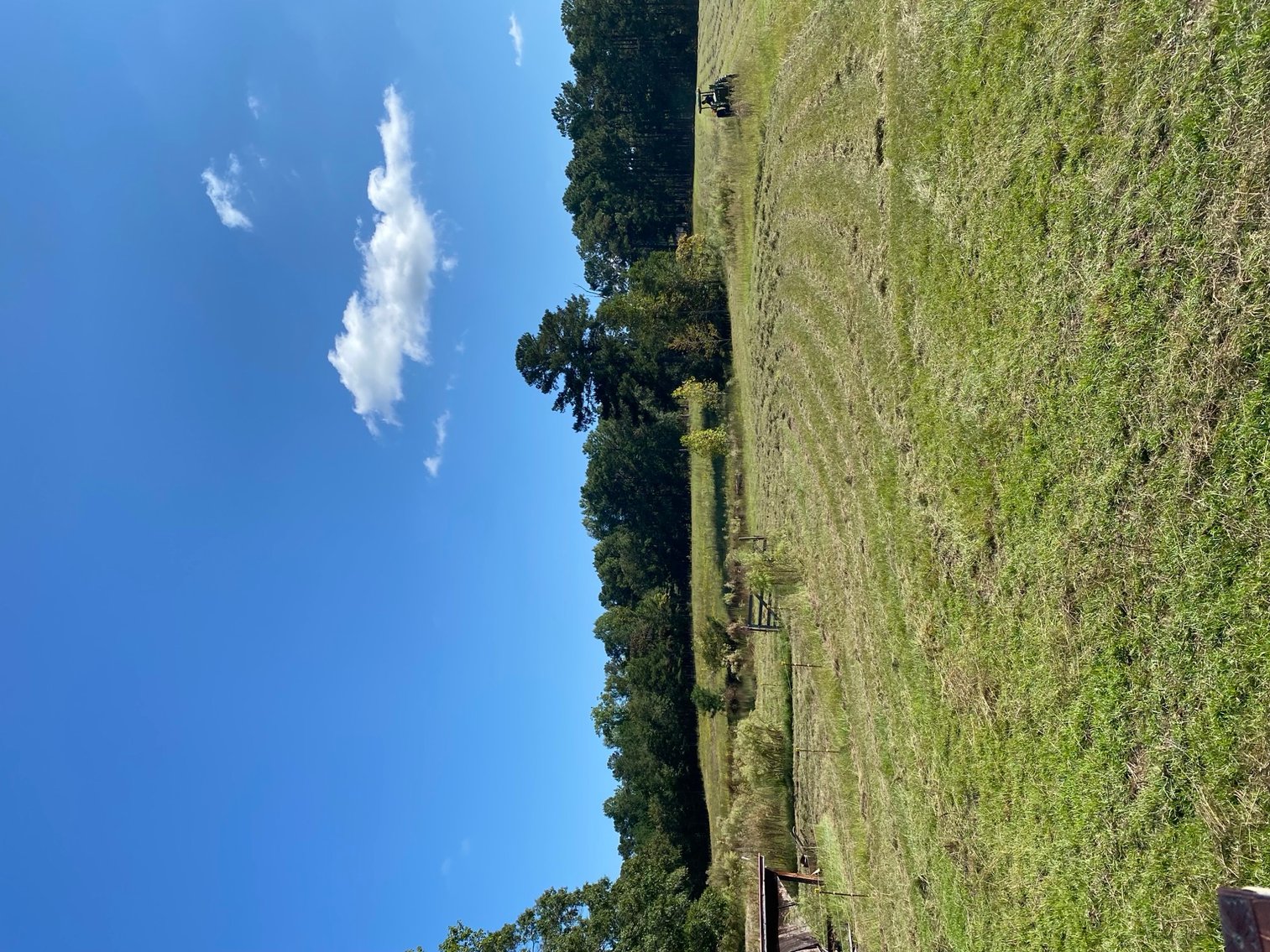 Image for 46+ Acres Divided into 9 tracts, a Super Home with over 2 acres in Harnett County, NC!  Online / Live / Simulcast Auction Held at the JP Headquarters in Angier!