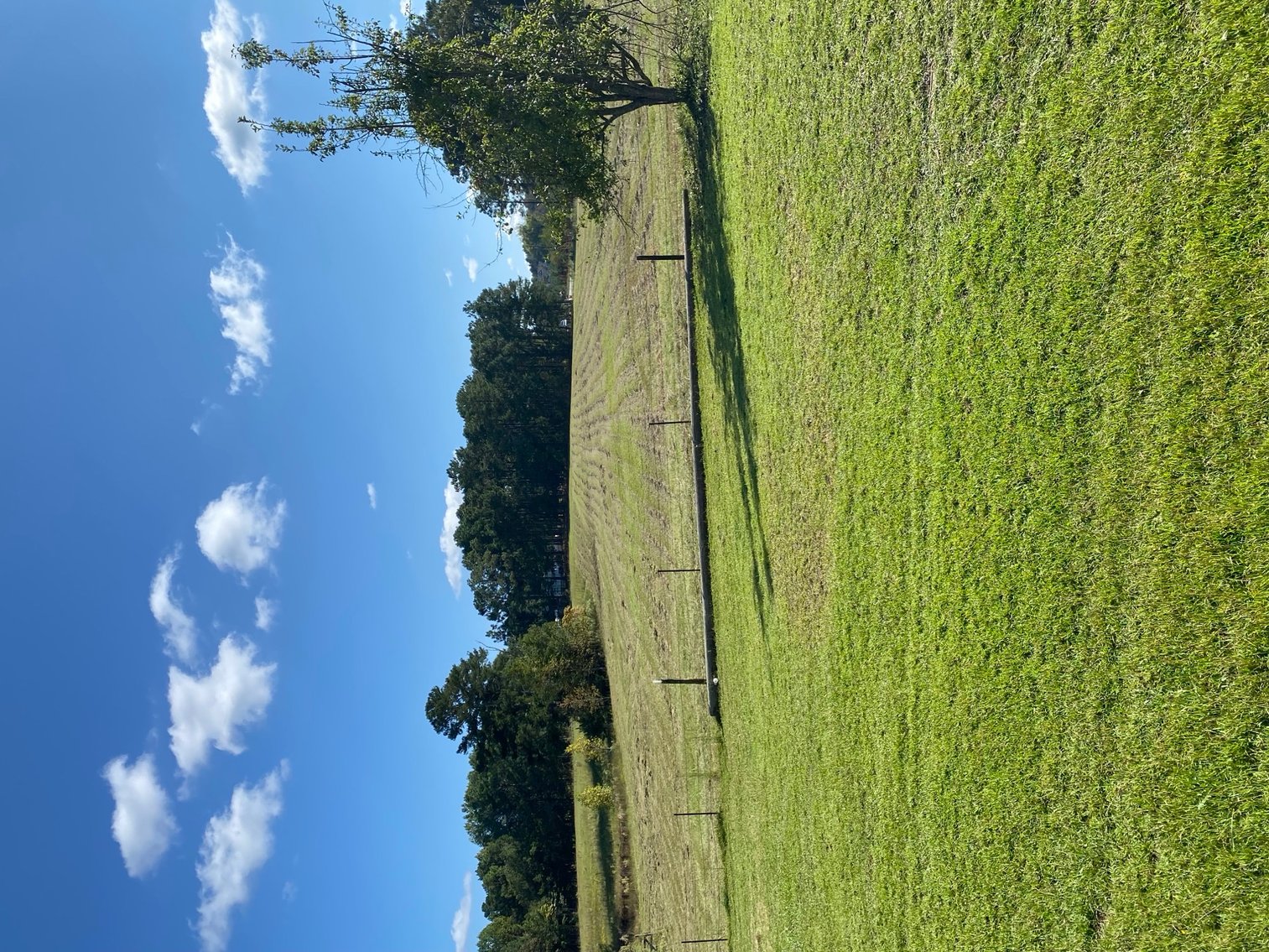 Image for 46+ Acres Divided into 9 tracts, a Super Home with over 2 acres in Harnett County, NC!  Online / Live / Simulcast Auction Held at the JP Headquarters in Angier!