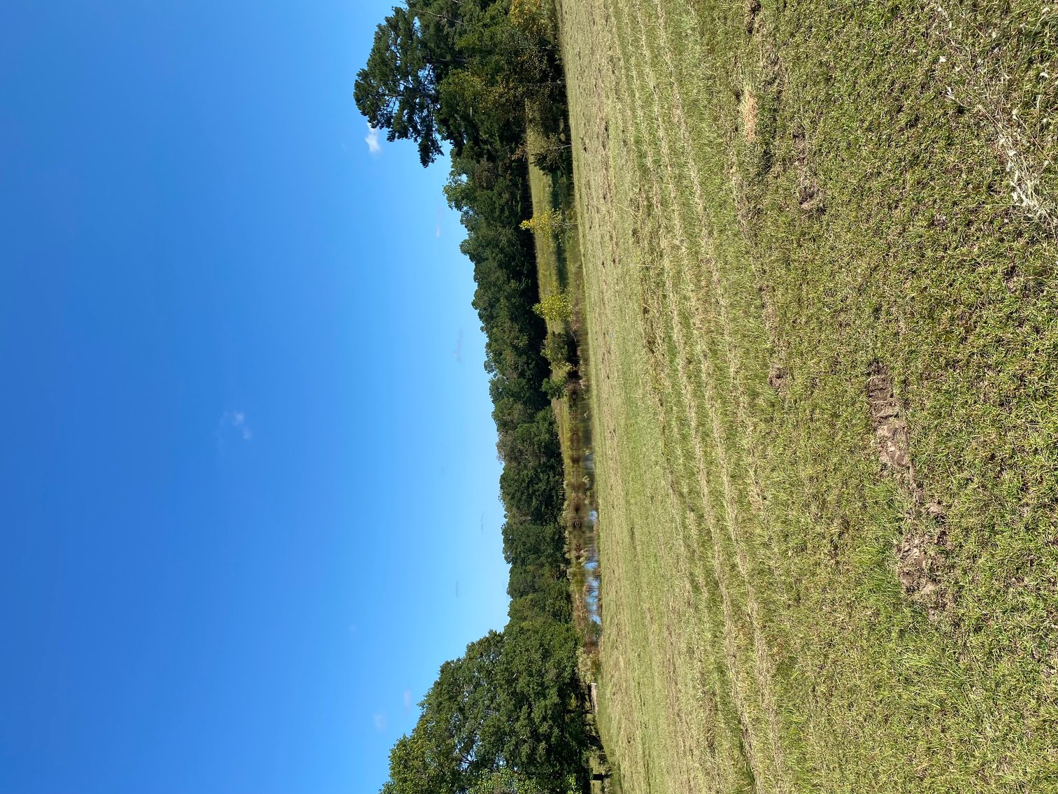 Image for 46+ Acres Divided into 9 tracts, a Super Home with over 2 acres in Harnett County, NC!  Online / Live / Simulcast Auction Held at the JP Headquarters in Angier!
