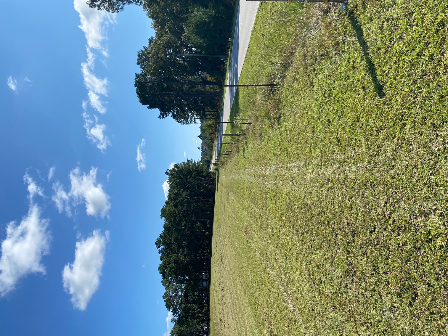 Image for 46+ Acres Divided into 9 tracts, a Super Home with over 2 acres in Harnett County, NC!  Online / Live / Simulcast Auction Held at the JP Headquarters in Angier!