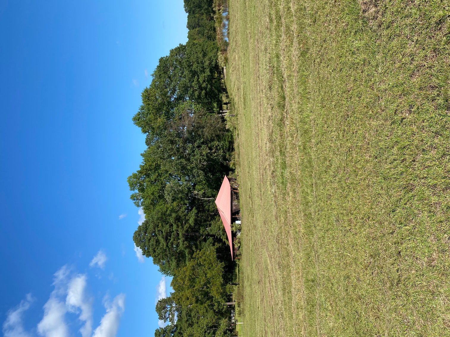 Image for 46+ Acres Divided into 9 tracts, a Super Home with over 2 acres in Harnett County, NC!  Online / Live / Simulcast Auction Held at the JP Headquarters in Angier!