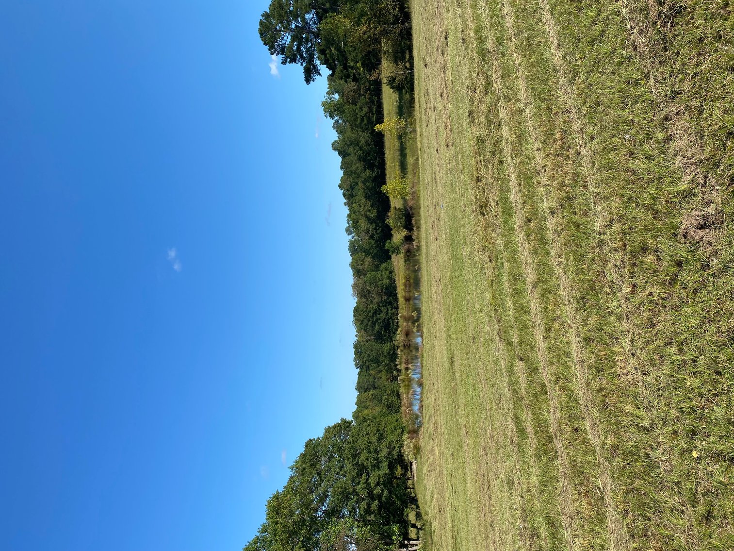 Image for 46+ Acres Divided into 9 tracts, a Super Home with over 2 acres in Harnett County, NC!  Online / Live / Simulcast Auction Held at the JP Headquarters in Angier!