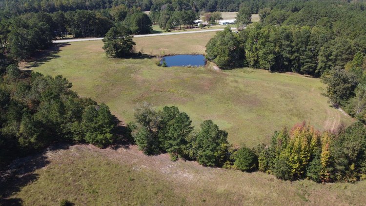 Image for 46+ Acres Divided into 9 tracts, a Super Home with over 2 acres in Harnett County, NC!  Online / Live / Simulcast Auction Held at the JP Headquarters in Angier!
