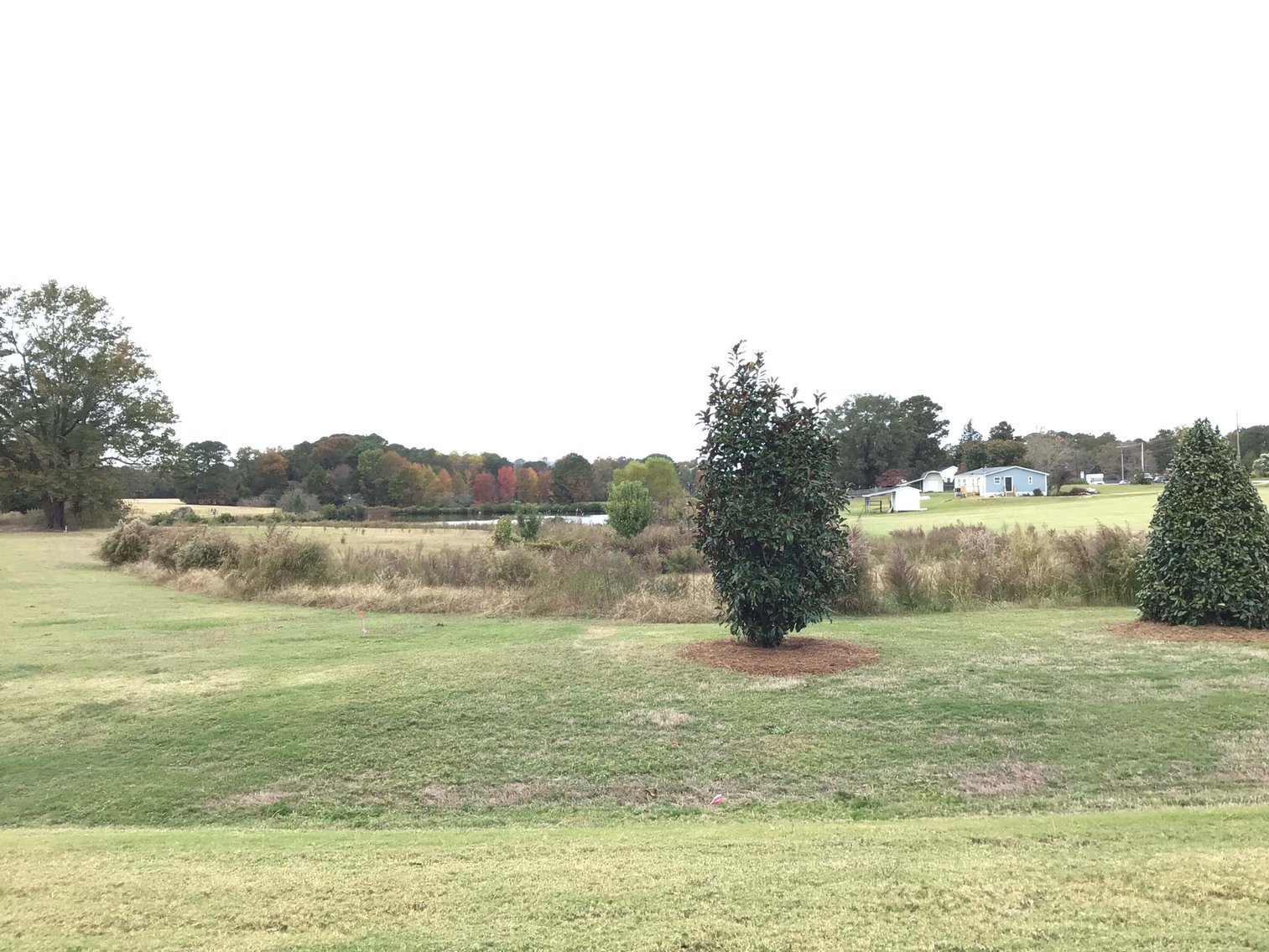 Image for 11.61 Acres in Johnston County with a Pond Selling in a Live / Online / Onsite / Simulcast Auction!