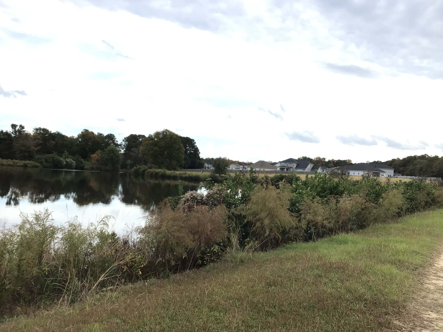 Image for 11.61 Acres in Johnston County with a Pond Selling in a Live / Online / Onsite / Simulcast Auction!