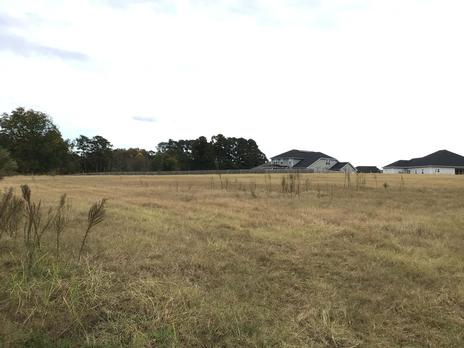 Image for 11.61 Acres in Johnston County with a Pond Selling in a Live / Online / Onsite / Simulcast Auction!