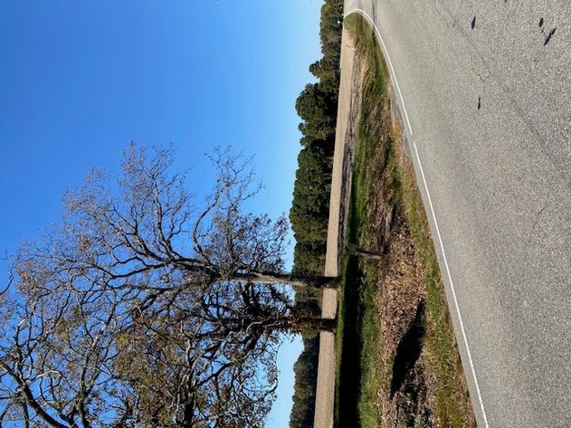 Image for Two Gorgeous Farms in Cumberland County with a Total of 193.27 Acres