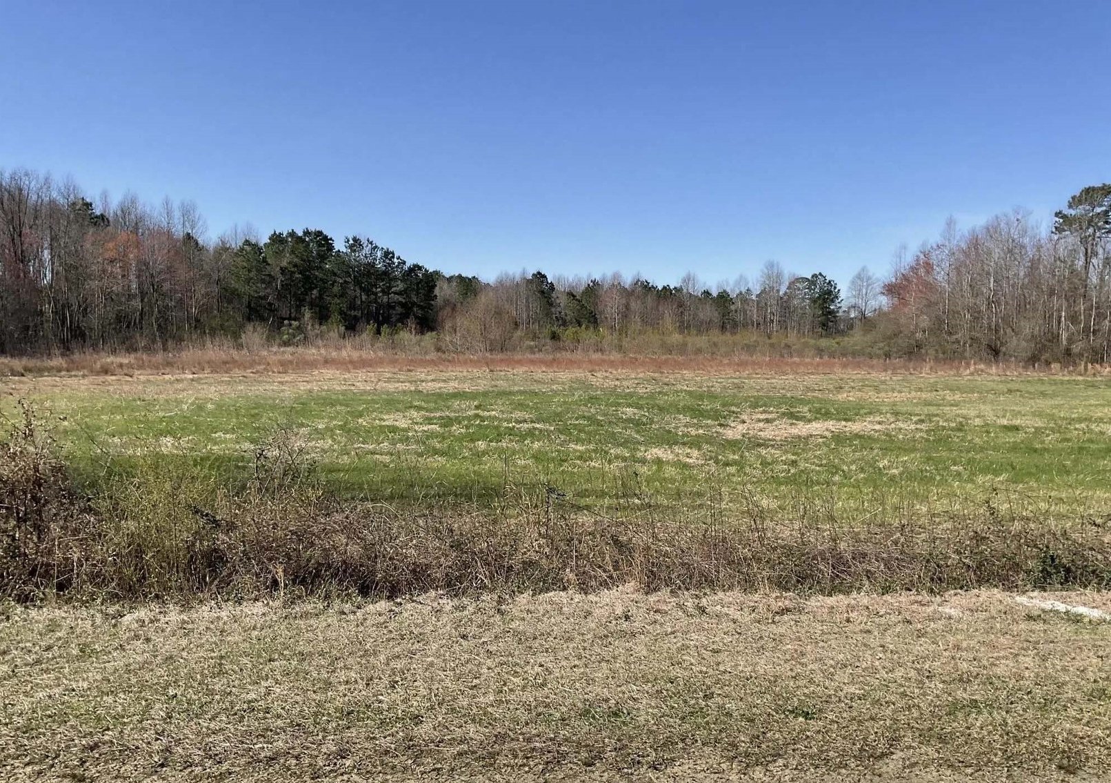 Image for 37+/- Acres Recreational with a Home Site in Sampson County! Online / Live / Simulcast Auction held at the JP Headquarters in Angier!