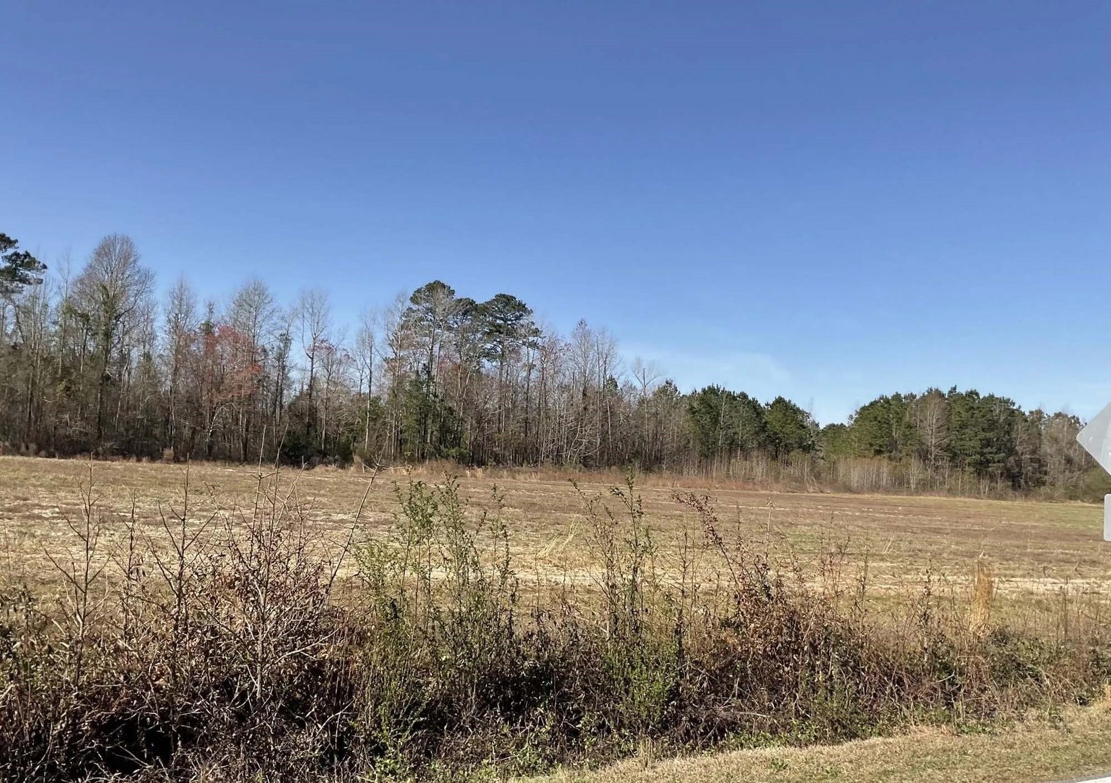 Image for 37+/- Acres Recreational with a Home Site in Sampson County! Online / Live / Simulcast Auction held at the JP Headquarters in Angier!