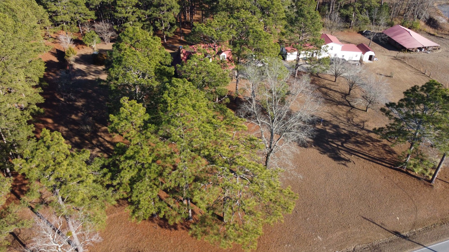 Image for 46+ Acres Divided into 9 tracts, a Super Home with over 2 acres in Harnett County, NC!  Online / Live / Simulcast Auction Held at the JP Headquarters in Angier!