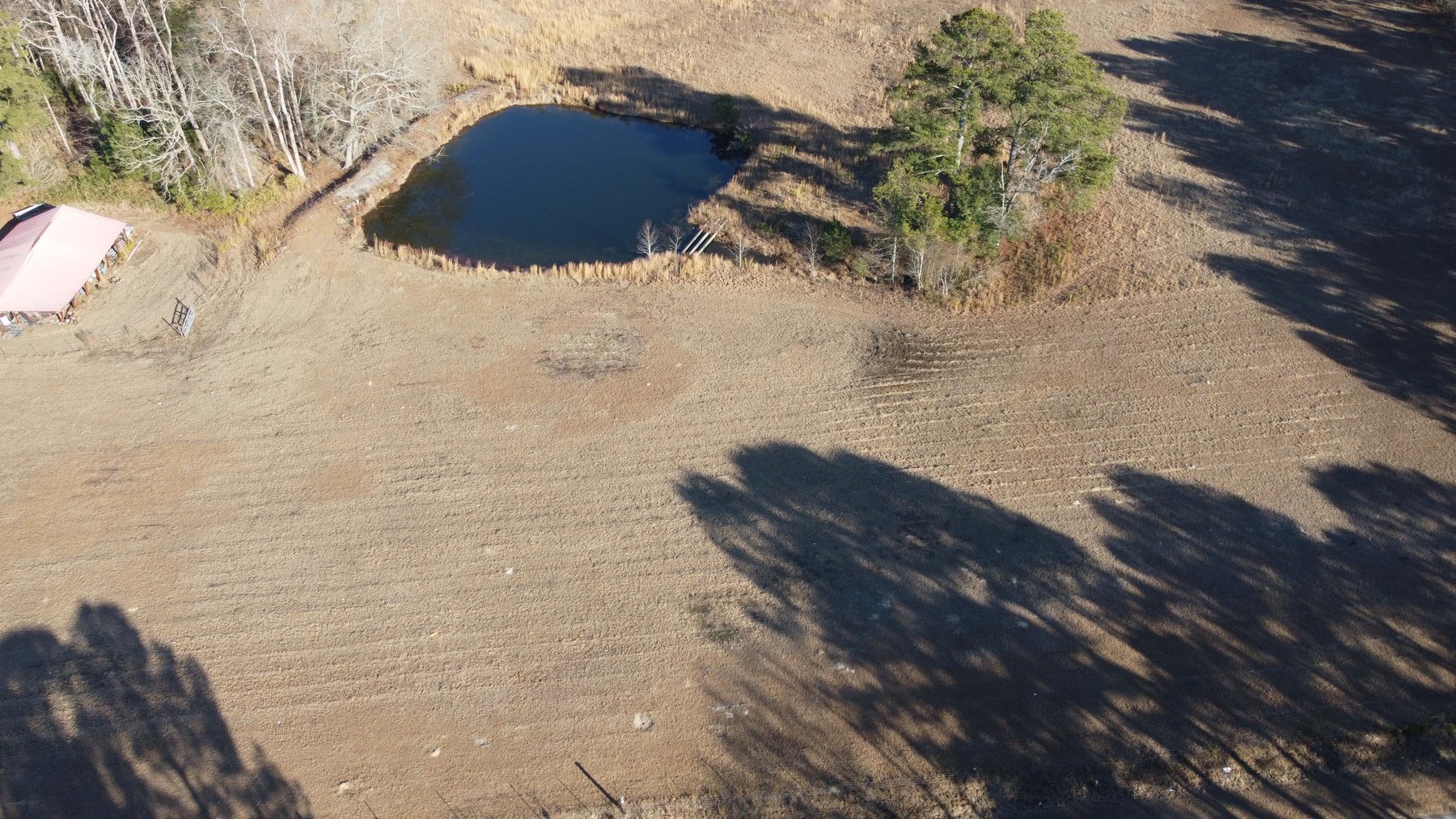 Image for 46+ Acres Divided into 9 tracts, a Super Home with over 2 acres in Harnett County, NC!  Online / Live / Simulcast Auction Held at the JP Headquarters in Angier!