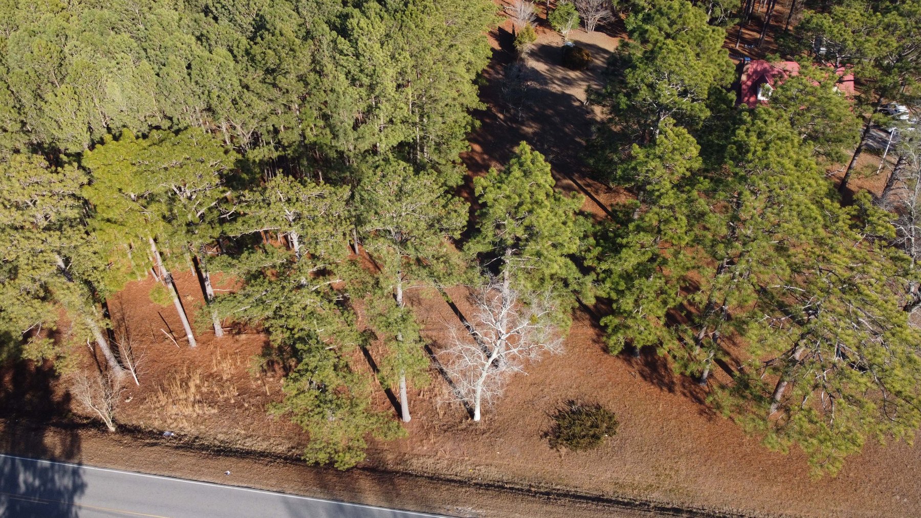 Image for 46+ Acres Divided into 9 tracts, a Super Home with over 2 acres in Harnett County, NC!  Online / Live / Simulcast Auction Held at the JP Headquarters in Angier!