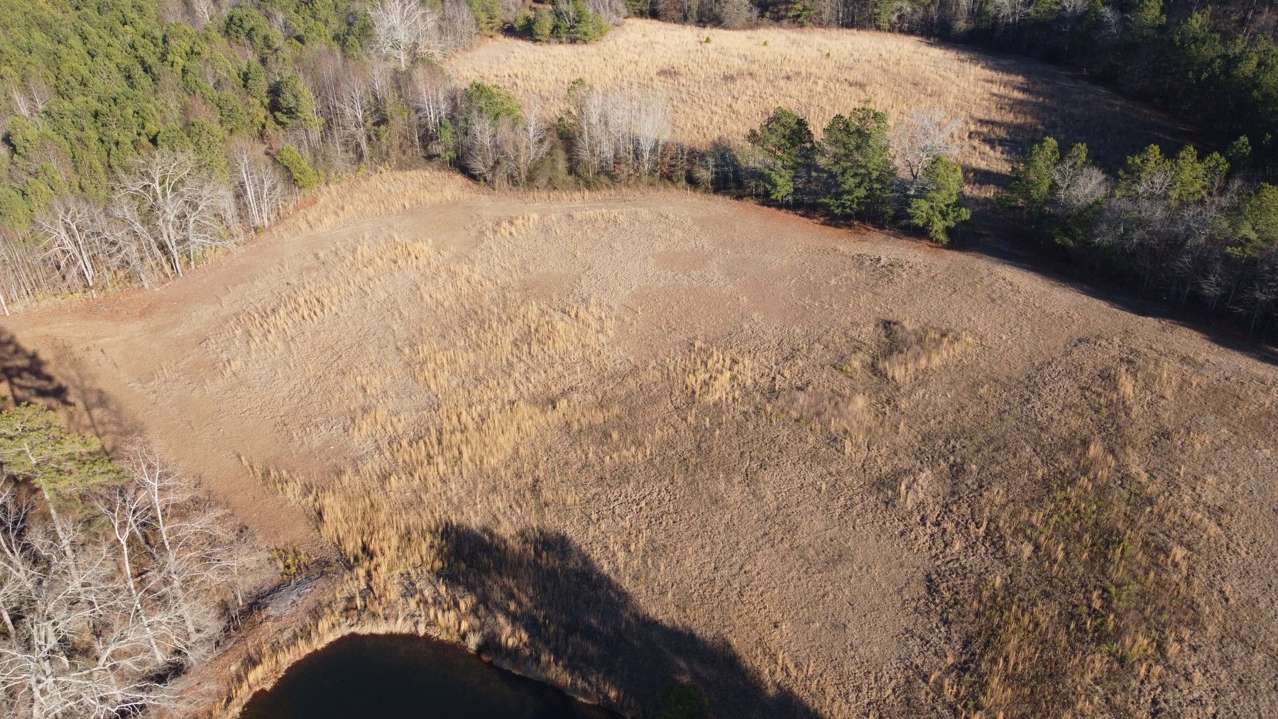 Image for 46+ Acres Divided into 9 tracts, a Super Home with over 2 acres in Harnett County, NC!  Online / Live / Simulcast Auction Held at the JP Headquarters in Angier!