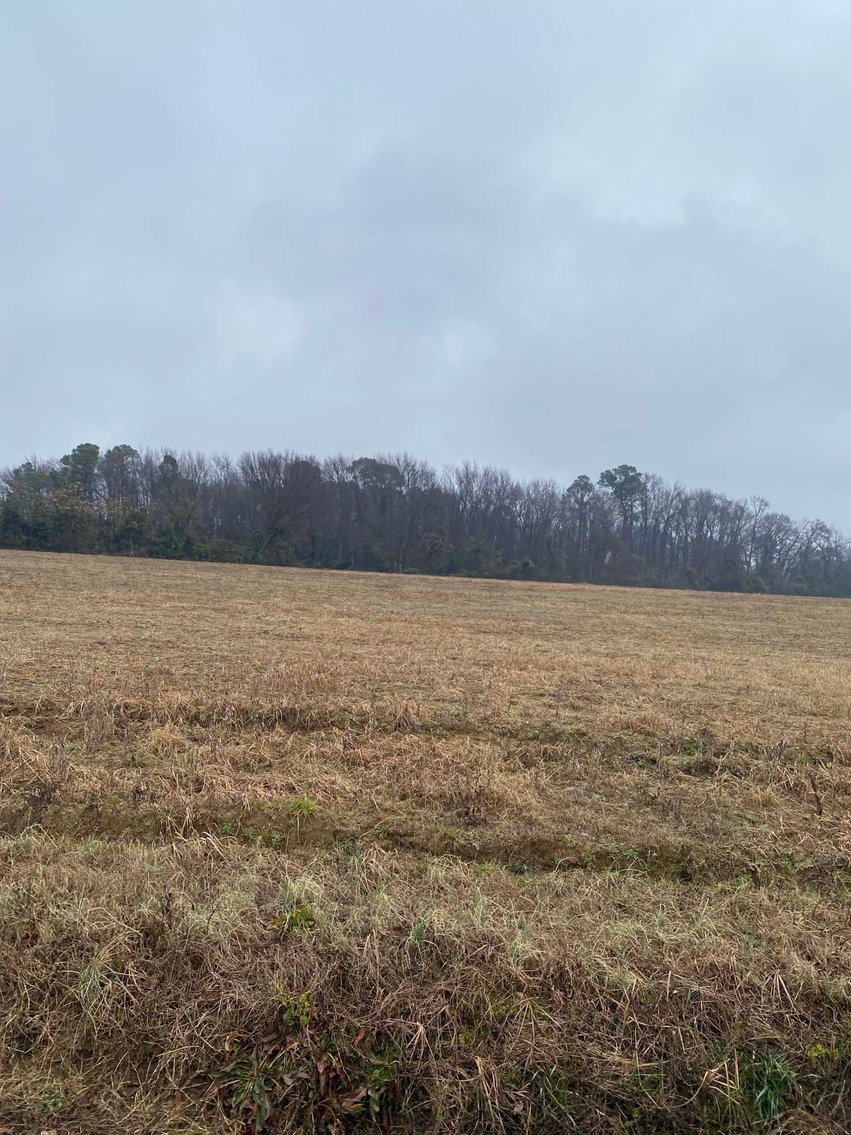 Image for Beautiful 10 Acre Tract in Dunn