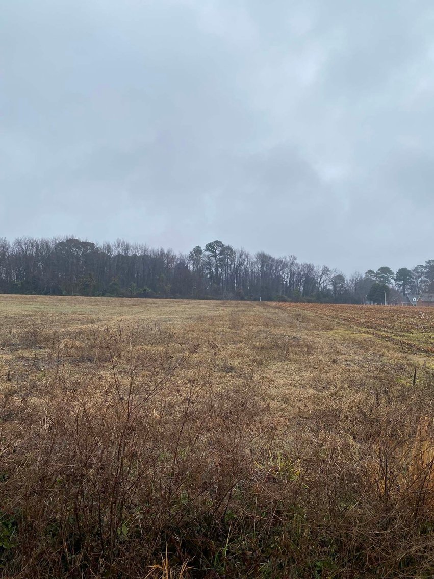 Image for Beautiful 10 Acre Tract in Dunn