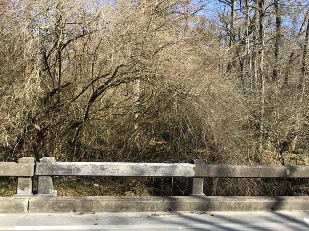 Image for 55+/- acres off Bowdens Rd Duplin County!