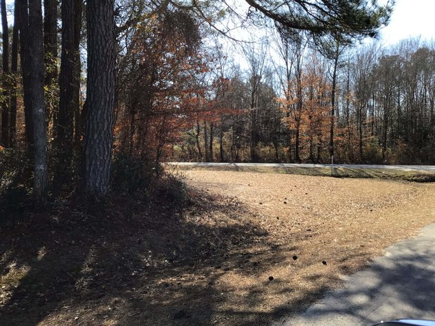 Image for 55+/- acres off Bowdens Rd Duplin County!