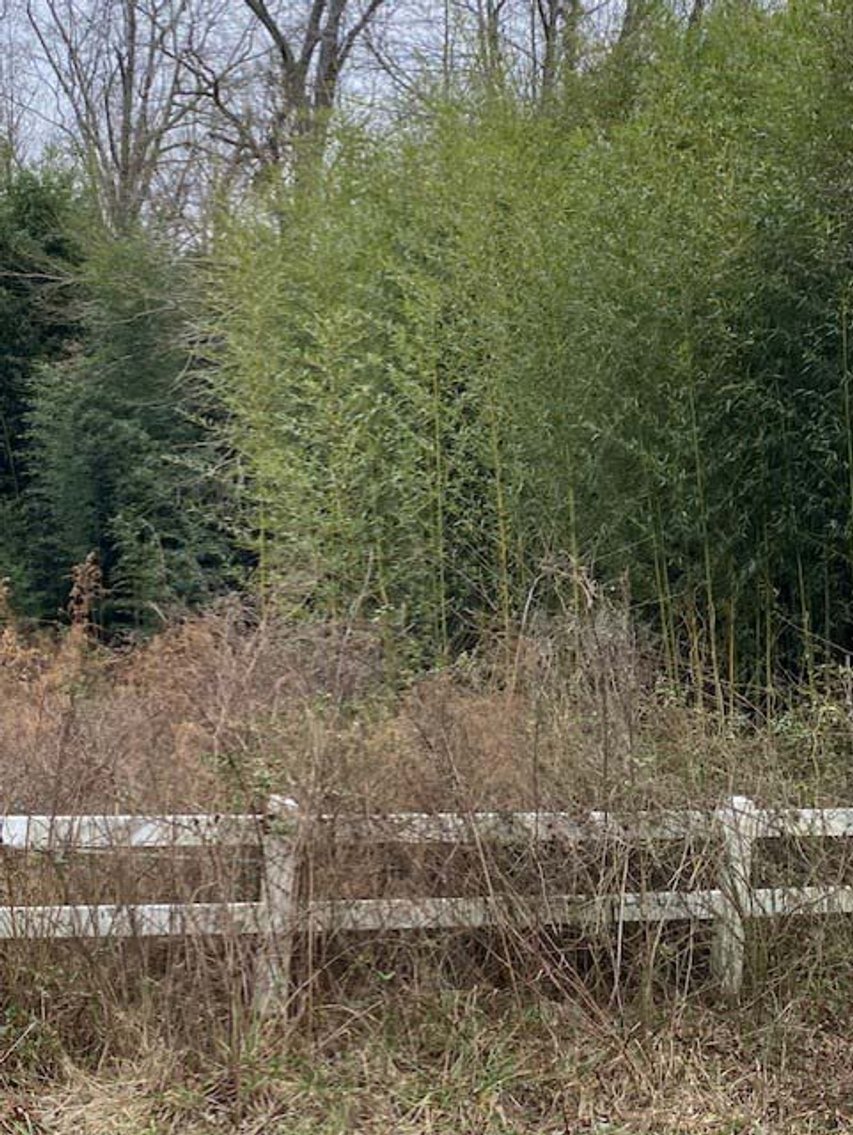 Image for 75+/- Acres in Johnston County Online/Live/Simulcast April Multi-Parcel Auction!