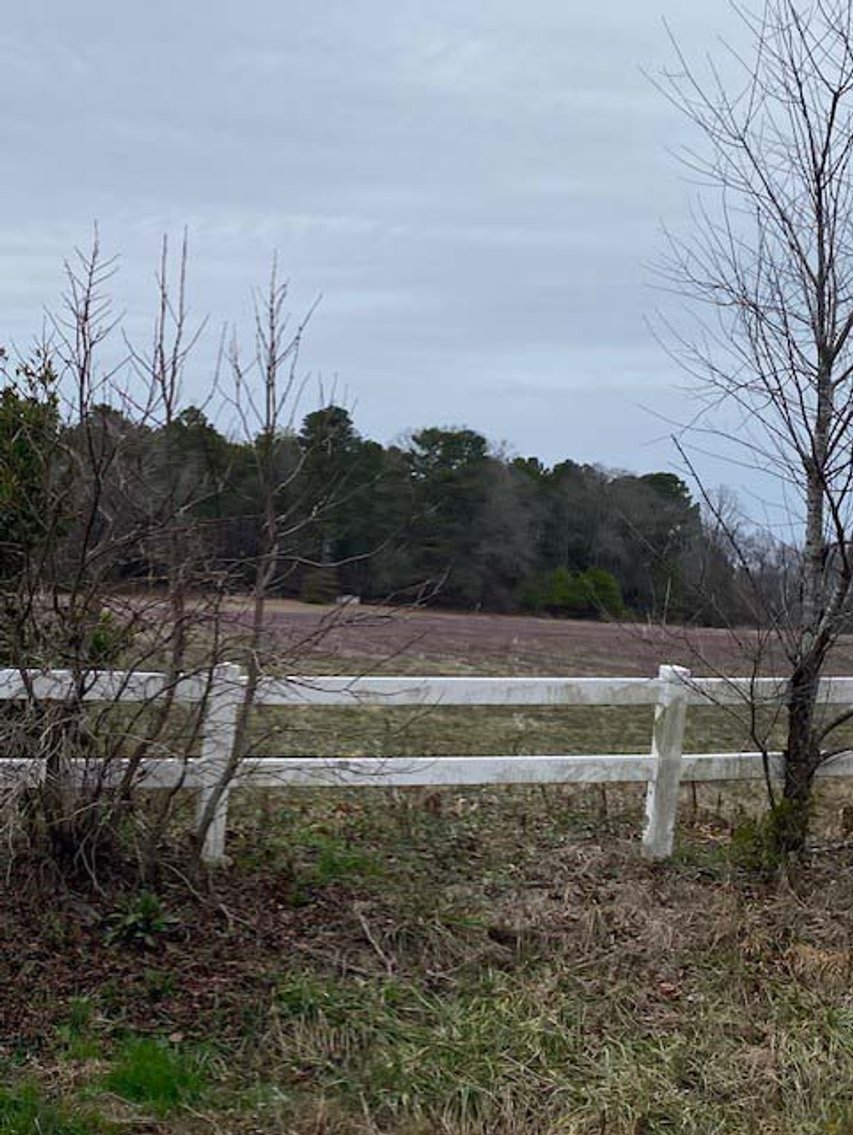 Image for 75+/- Acres in Johnston County Online/Live/Simulcast April Multi-Parcel Auction!