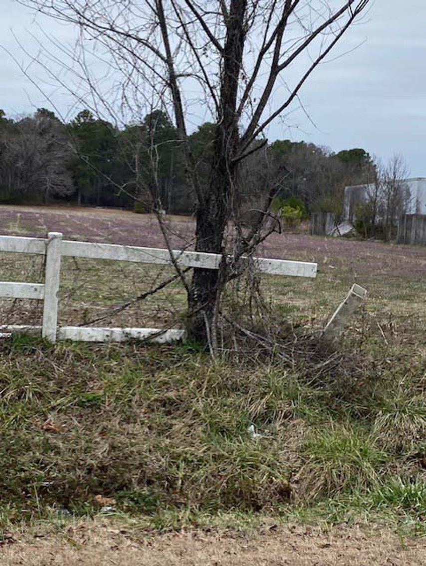 Image for 75+/- Acres in Johnston County Online/Live/Simulcast April Multi-Parcel Auction!