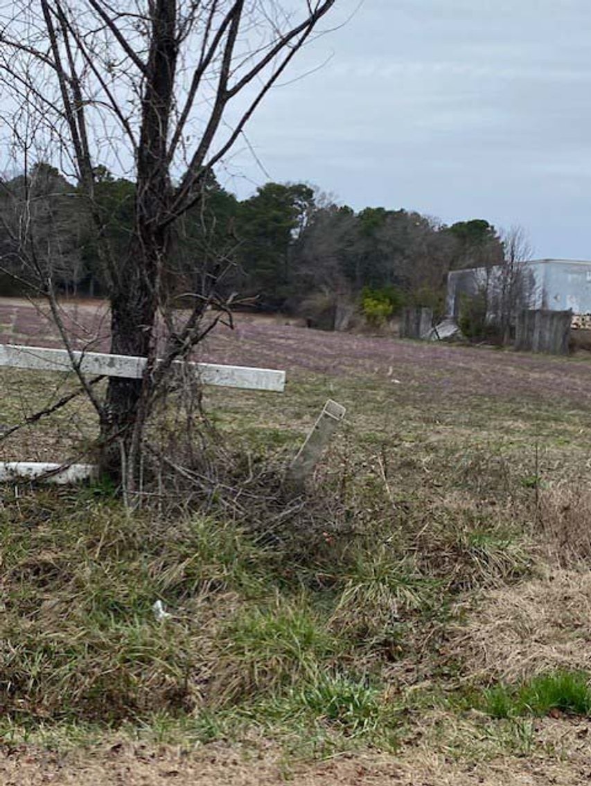 Image for 75+/- Acres in Johnston County Online/Live/Simulcast April Multi-Parcel Auction!