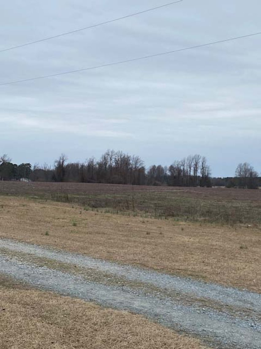 Image for 75+/- Acres in Johnston County Online/Live/Simulcast April Multi-Parcel Auction!