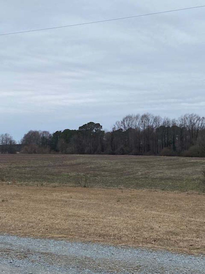 Image for 75+/- Acres in Johnston County Online/Live/Simulcast April Multi-Parcel Auction!