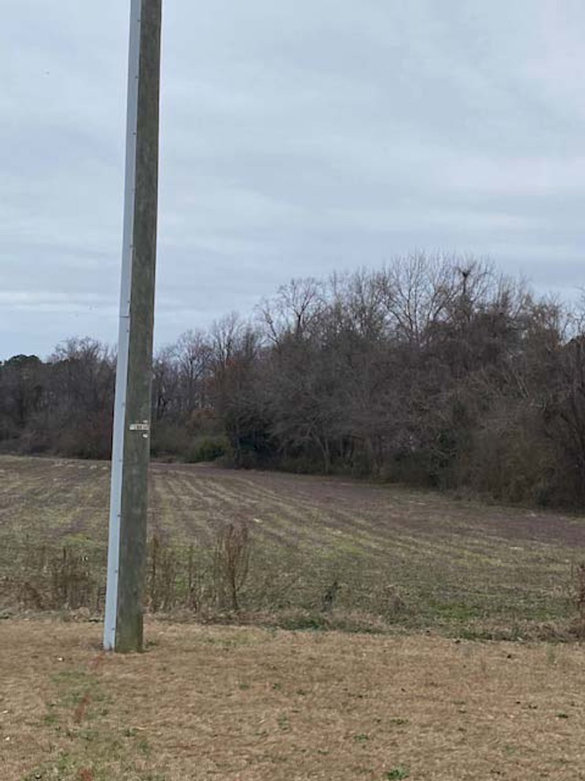 Image for 75+/- Acres in Johnston County Online/Live/Simulcast April Multi-Parcel Auction!