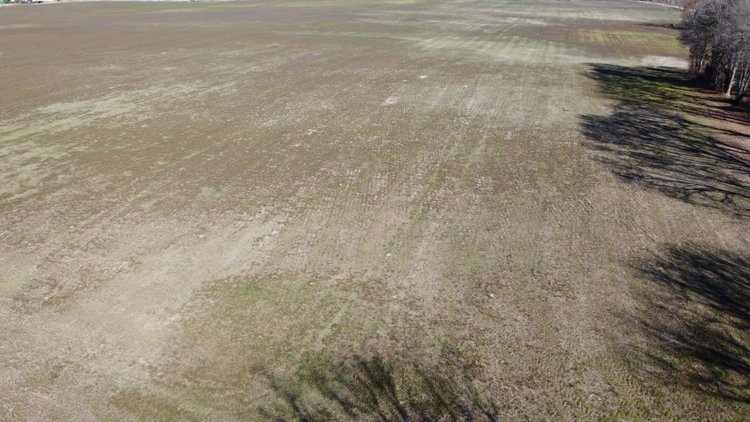 Image for 128 +/- Acres in Duplin County!