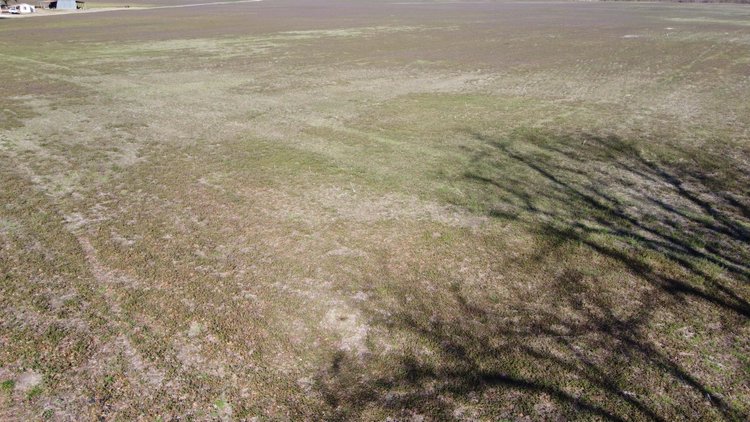 Image for 128 +/- Acres in Duplin County!