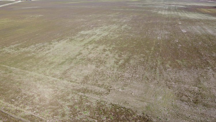 Image for 128 +/- Acres in Duplin County!